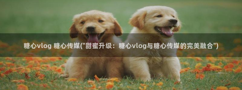 糖心vlgo白丝免费观看