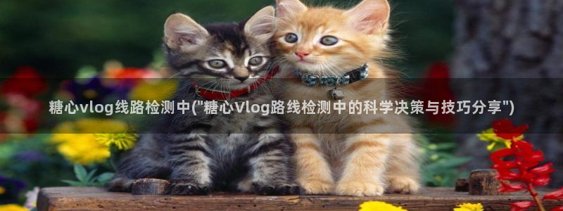 糖心velgo
