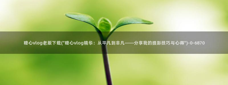 糖心vlovg