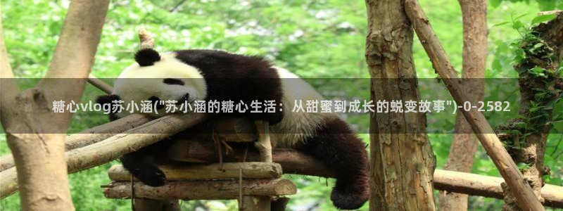 糖心vlog破解免费版