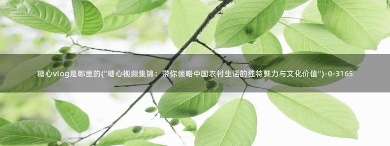 糖心vlog最新