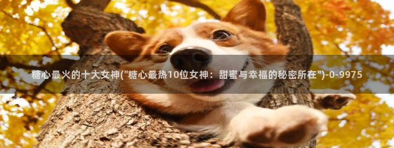 糖心txvlogcom