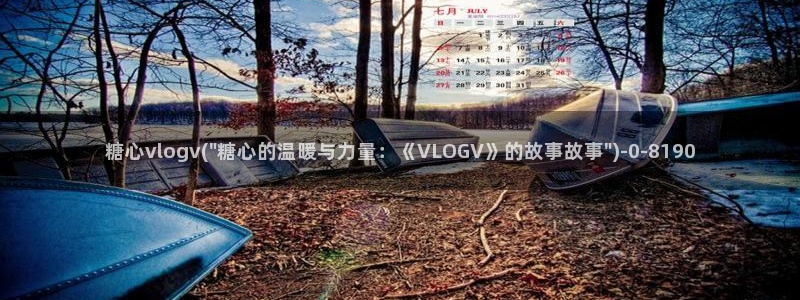 糖心vlog破解版免费