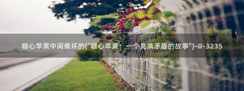 www.糖心vlog.con