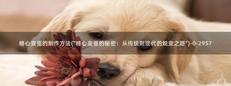 糖心vlog不用下载