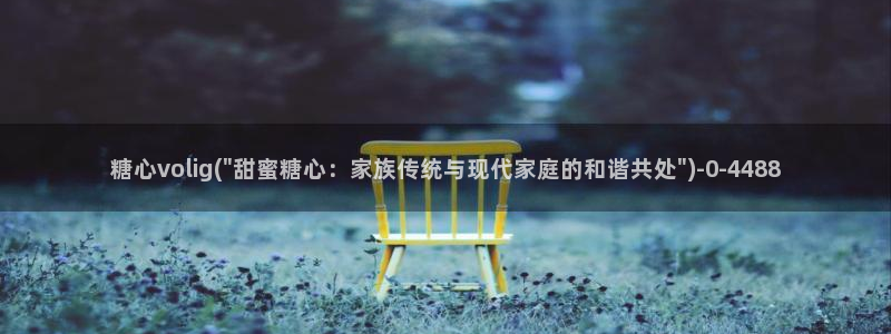 心糖vlog 破解版