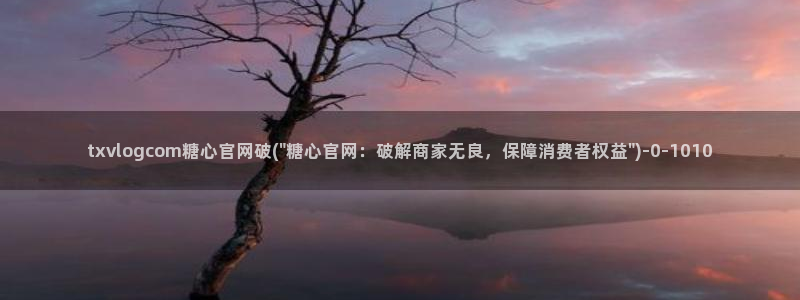 91糖心vlog