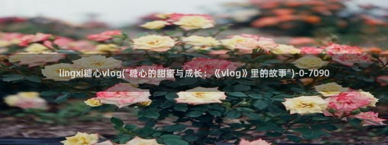 糖心vlog博主
