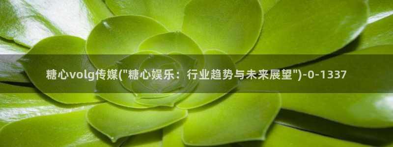 糖心vlog看片